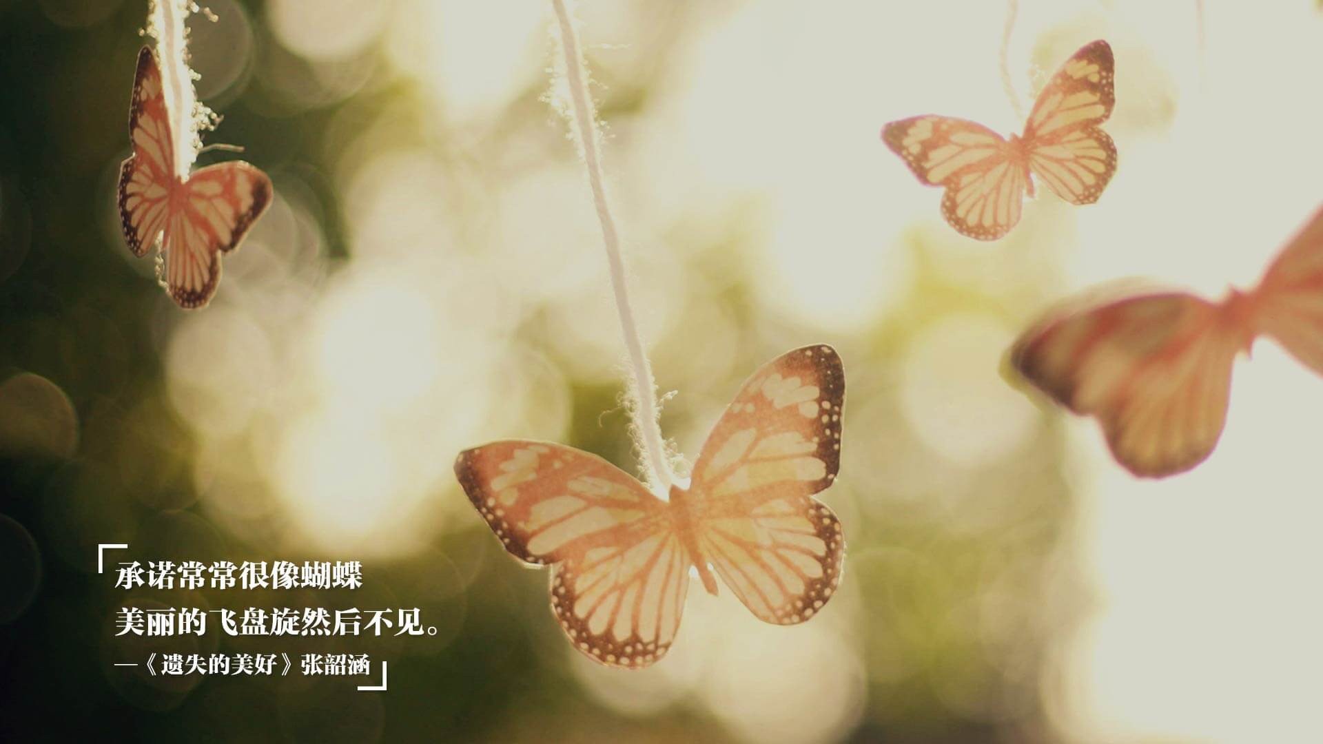 kaiyun体育app-德甲“黑马”球队逐渐崭露头角，德甲俱乐部球队